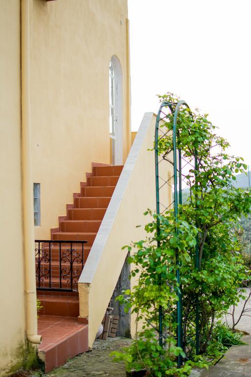 Big Summer House Halkidiki Psakoudia Exterior photo